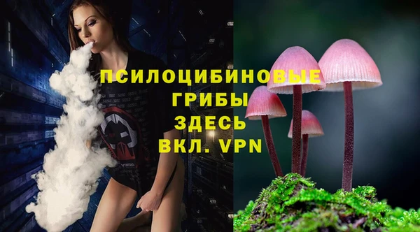 тгк Арсеньев
