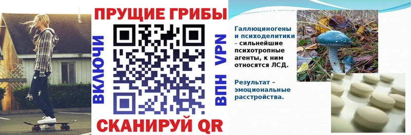 KRAKEN   Хадыженск  Псилоцибиновые грибы ЛСД  где купить  